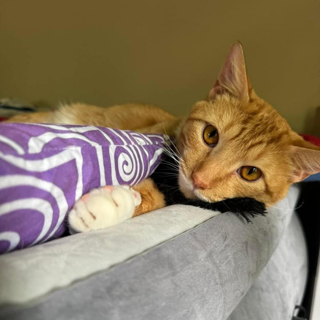 Ezra