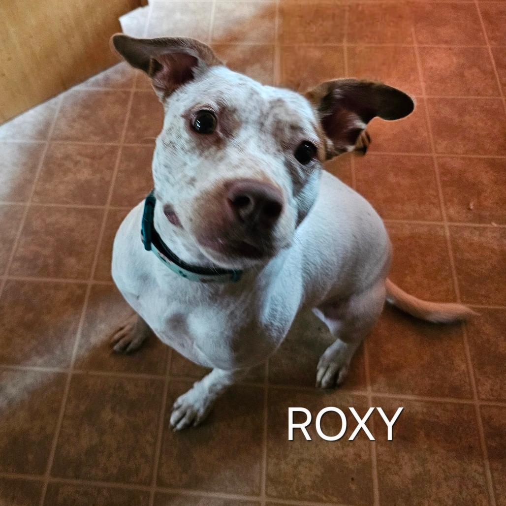 Roxy