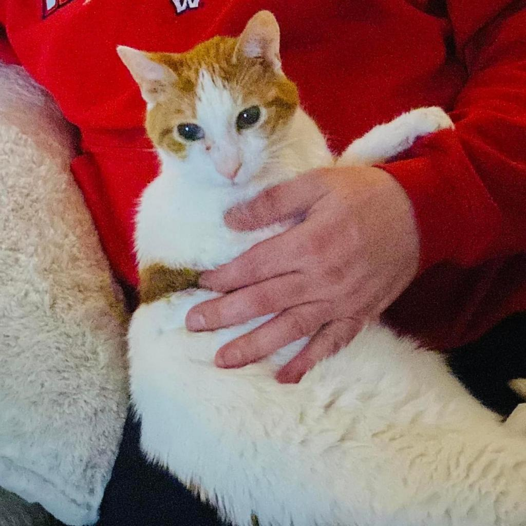 Quinn
