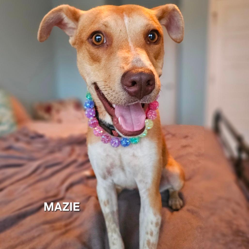 Mazie