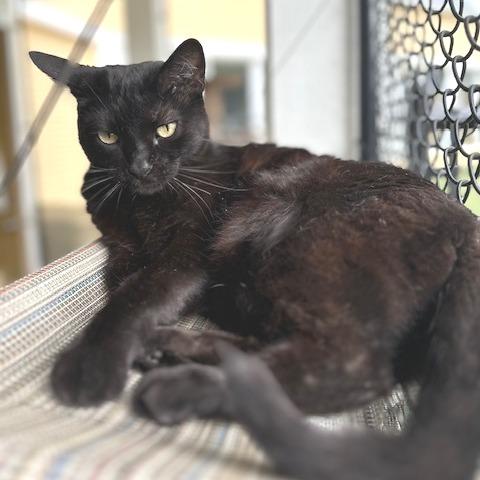 Elvira