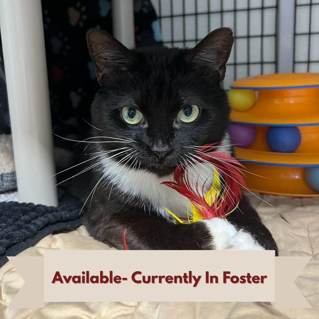 Ed (Bonded to Bonnie)