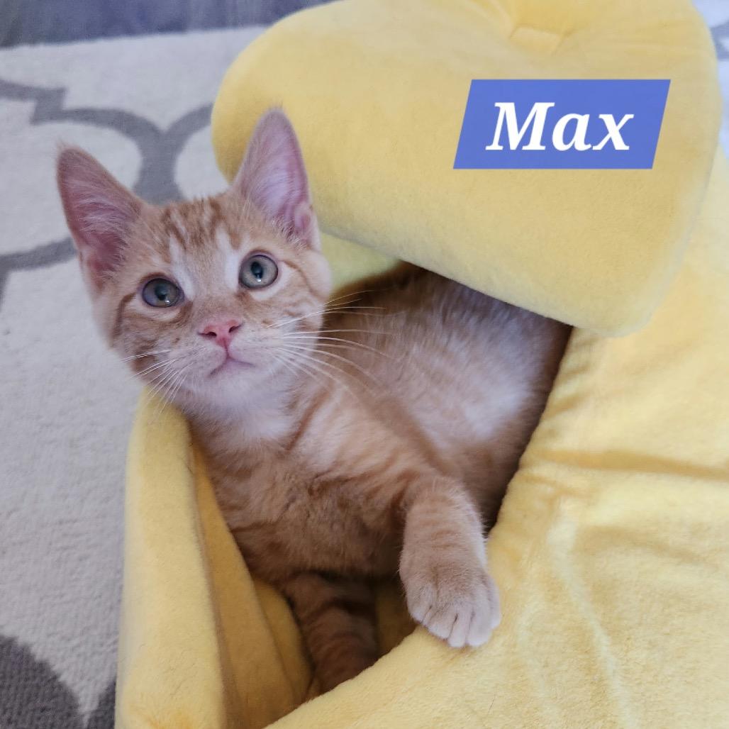 Max