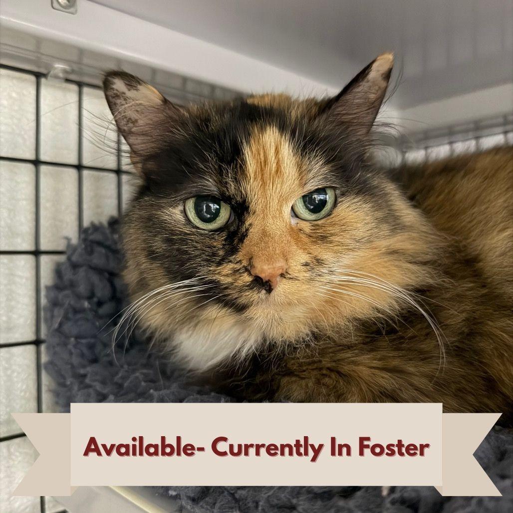 Bonnie (Bonded to Ed)