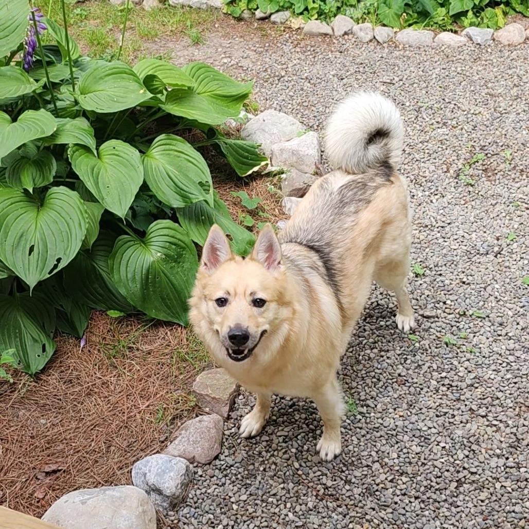 Max