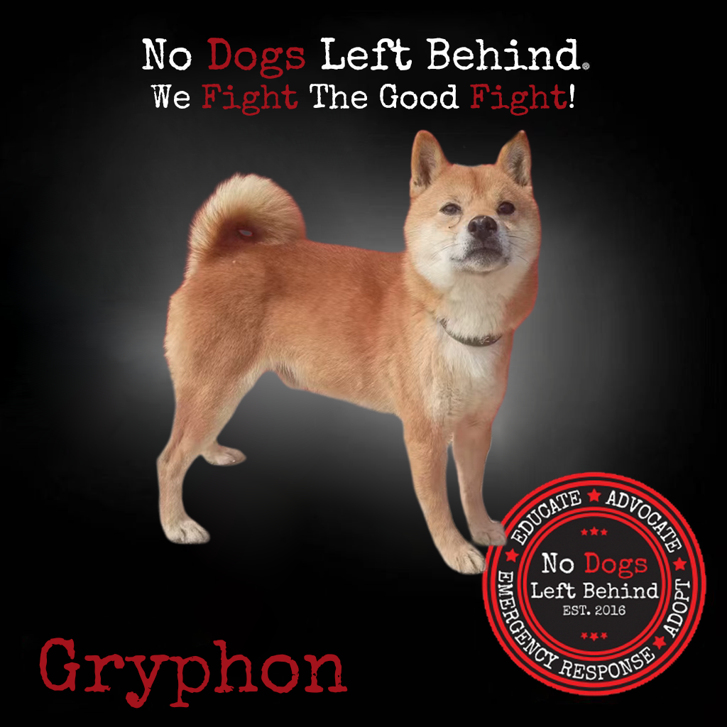 Picture of Gryphon 3833