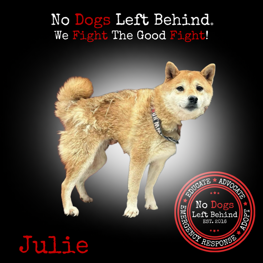 Julie 3931