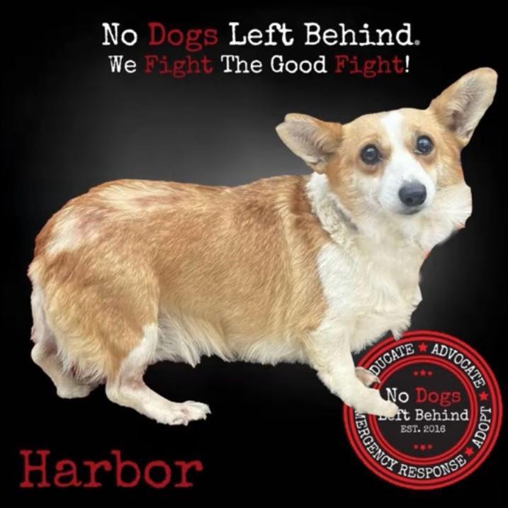 Harbor 4105 7115