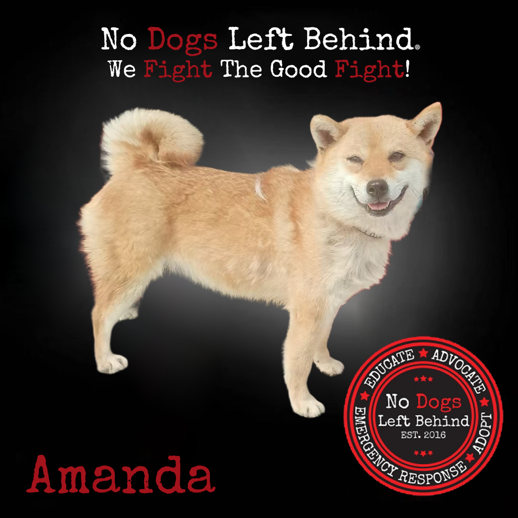 Picture of Amanda 4180