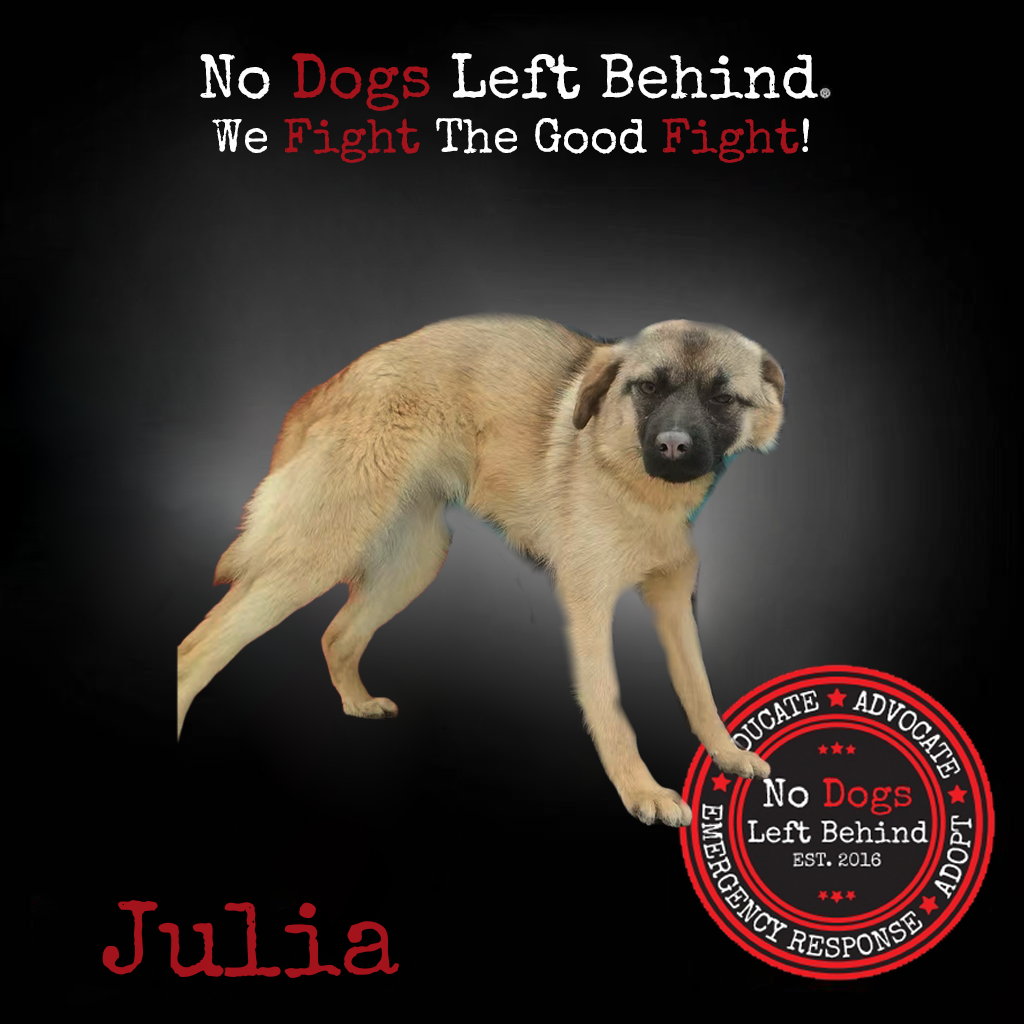 Picture of Julia 4168