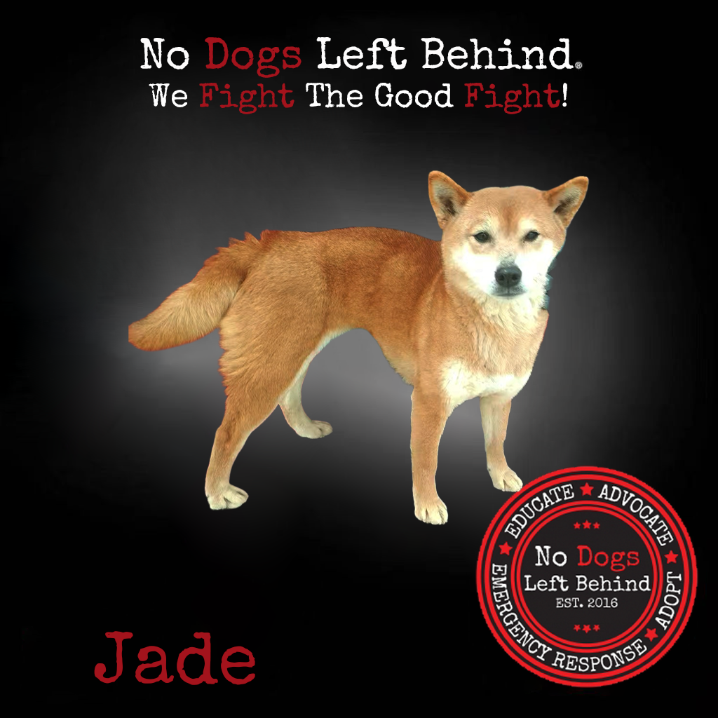 Picture of Jade 3942