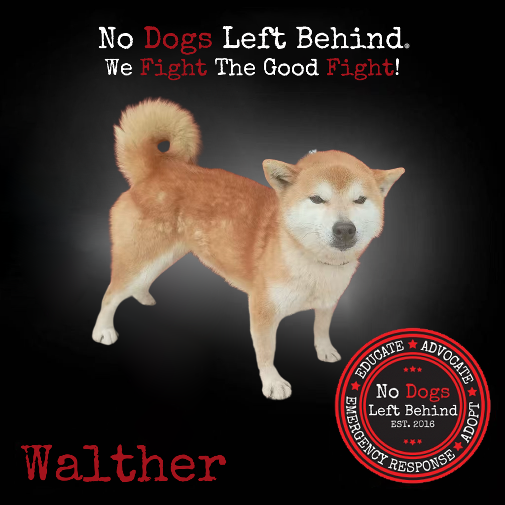 Picture of Walther 3991