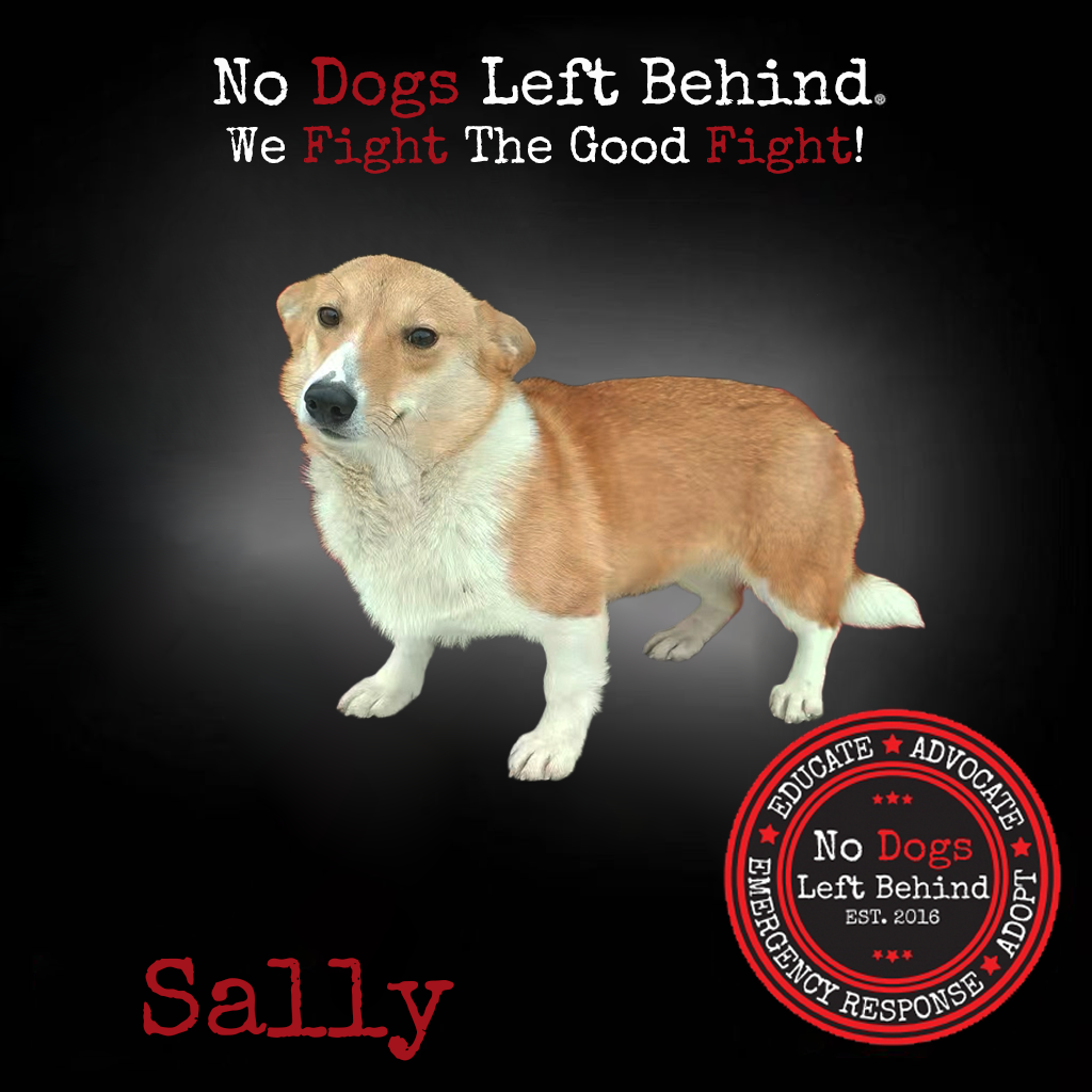 Sally 3839