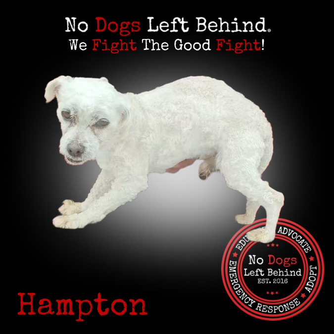 Hampton 4088