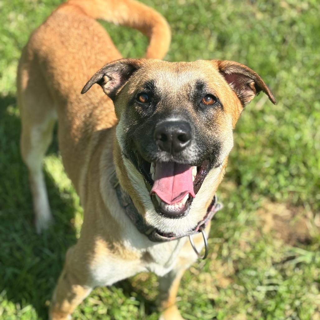 Hazel (Mabel)