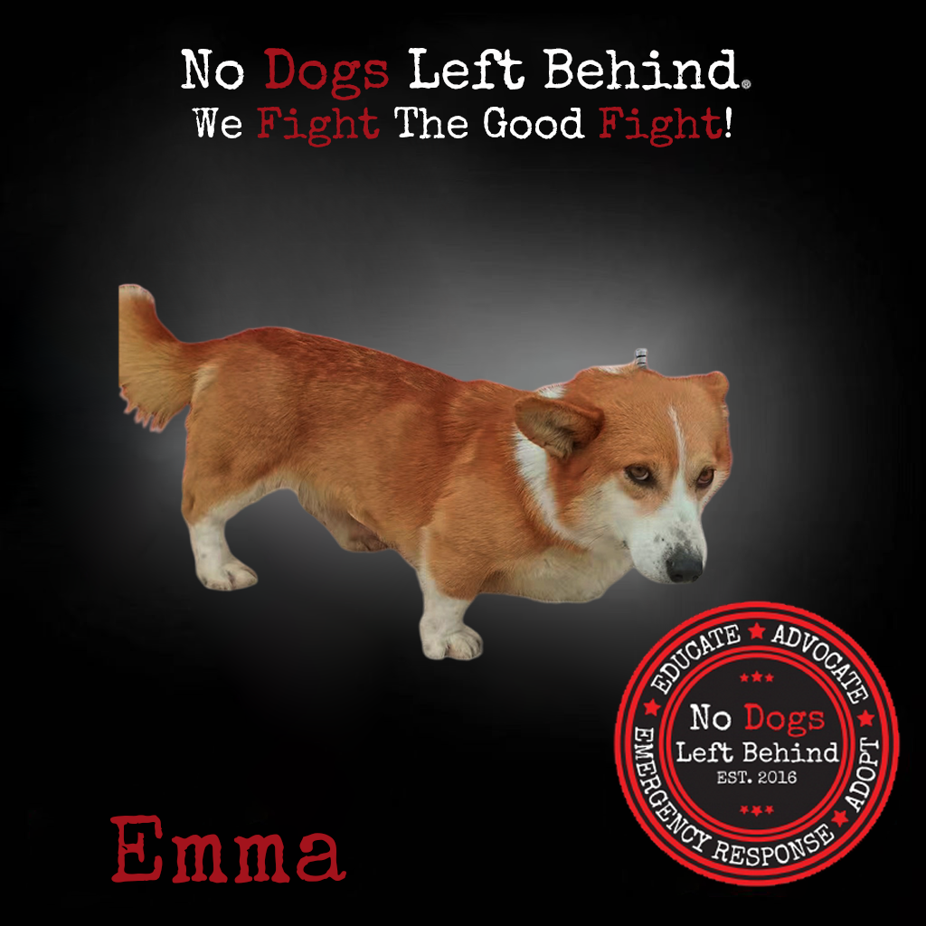 Emma 4164