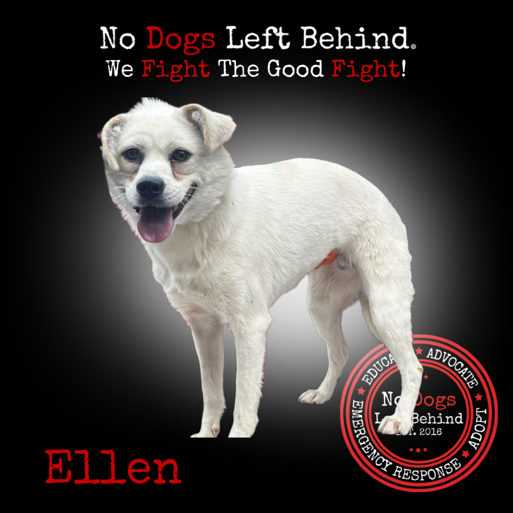 Ellen 4140