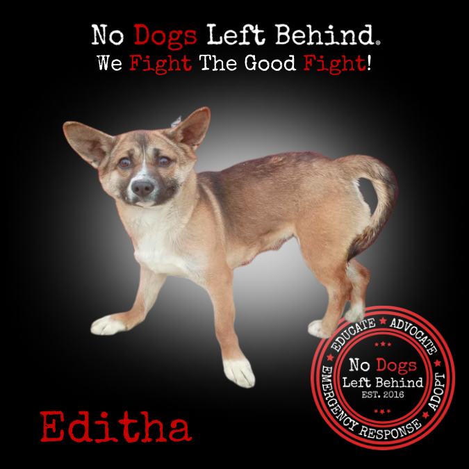 Editha 3864