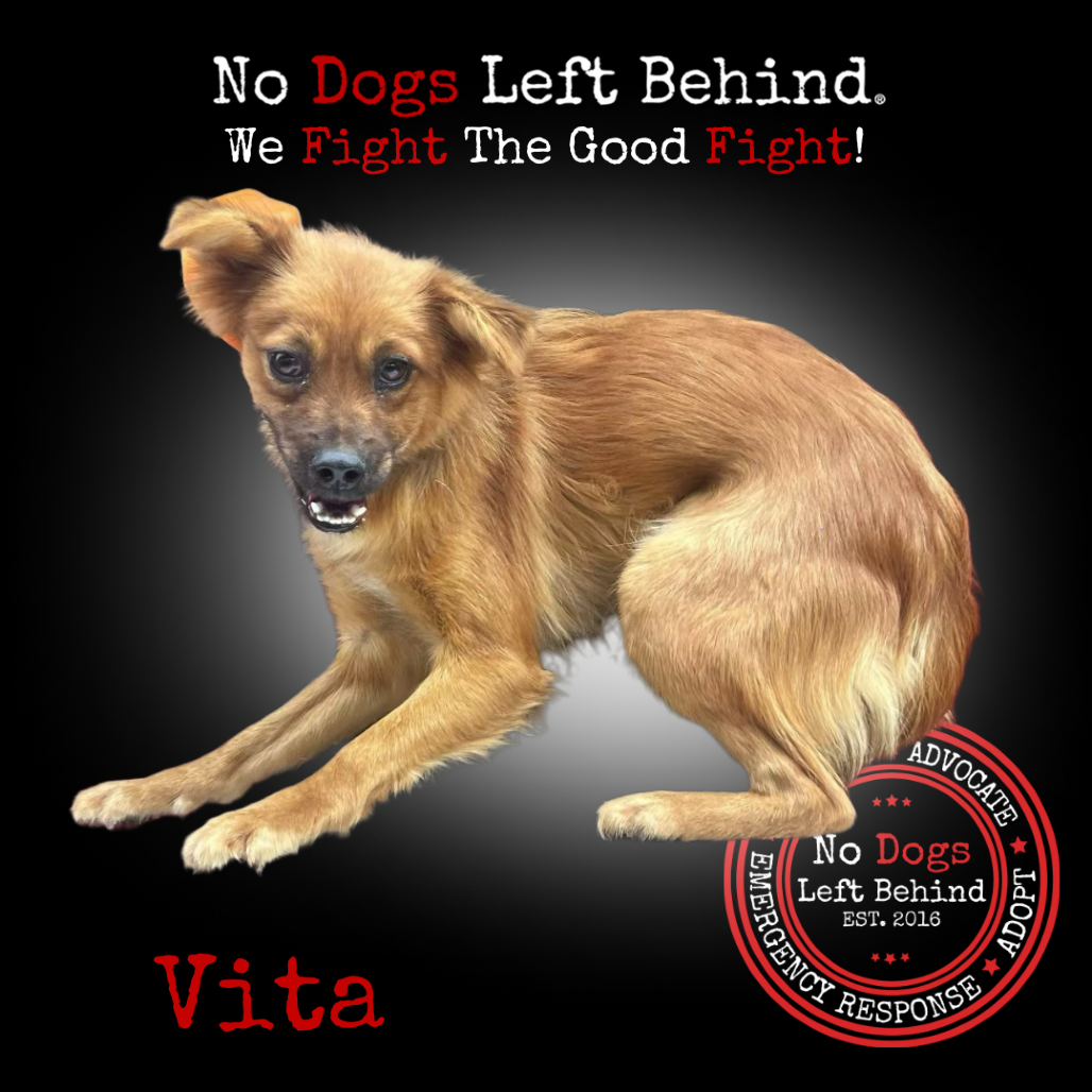 Vita 4095