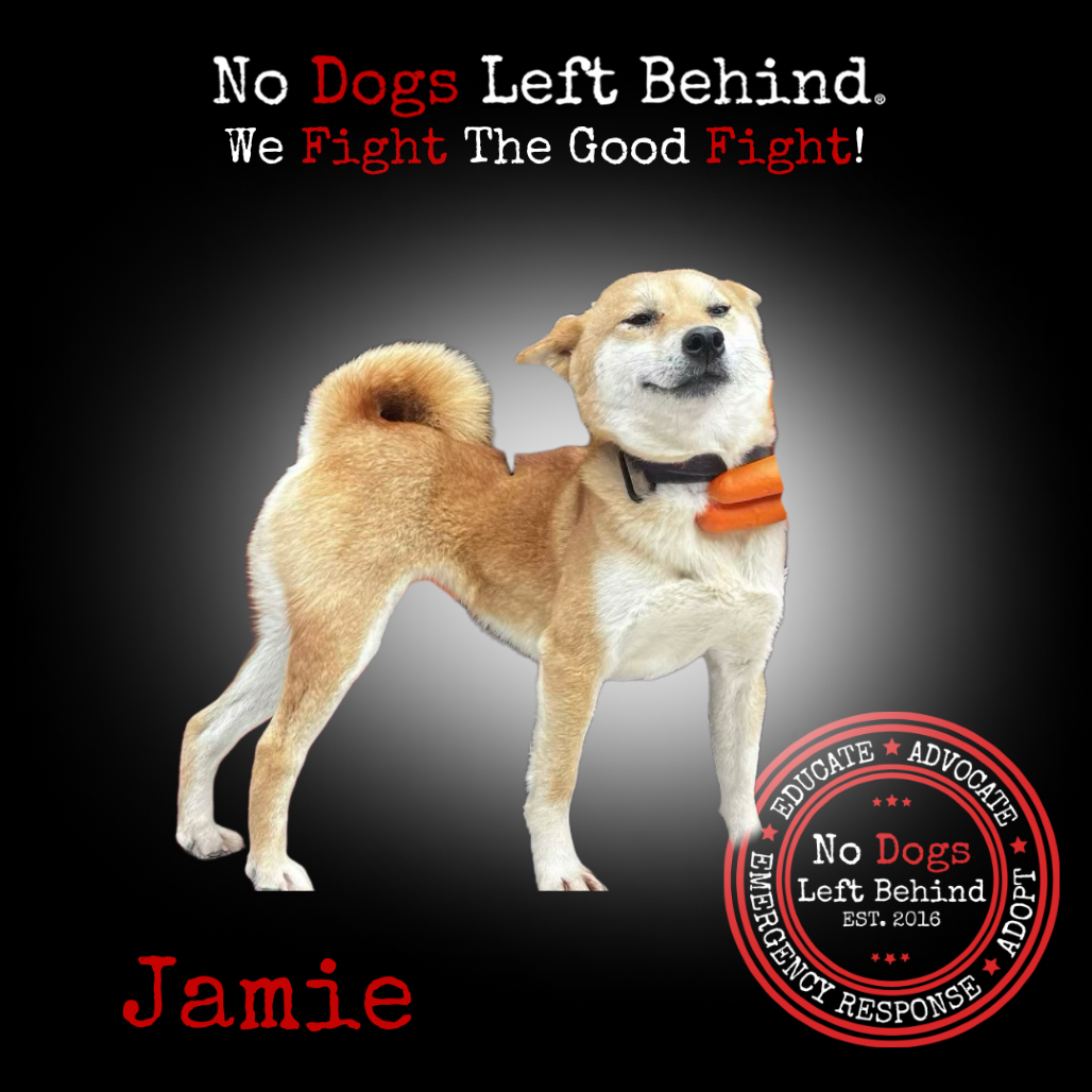 Picture of Jamie 4073