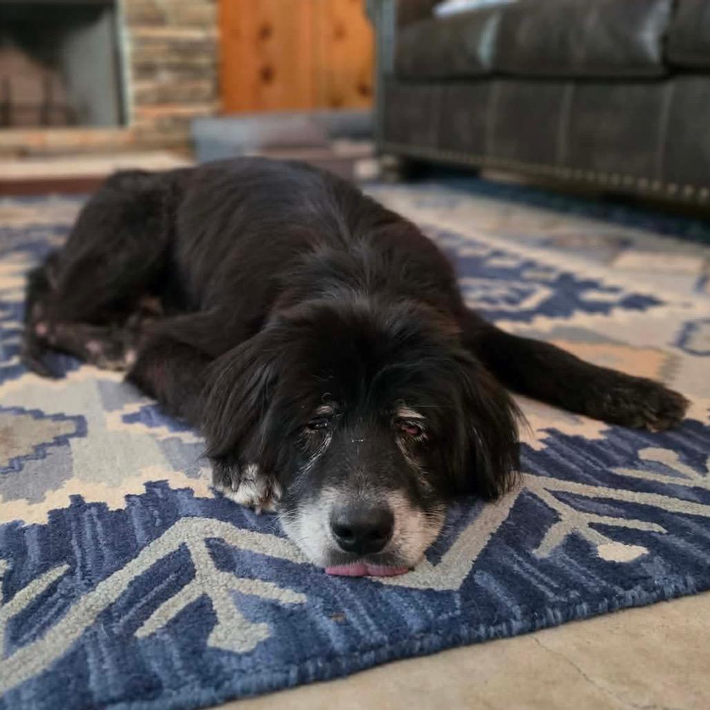 Sirius Black