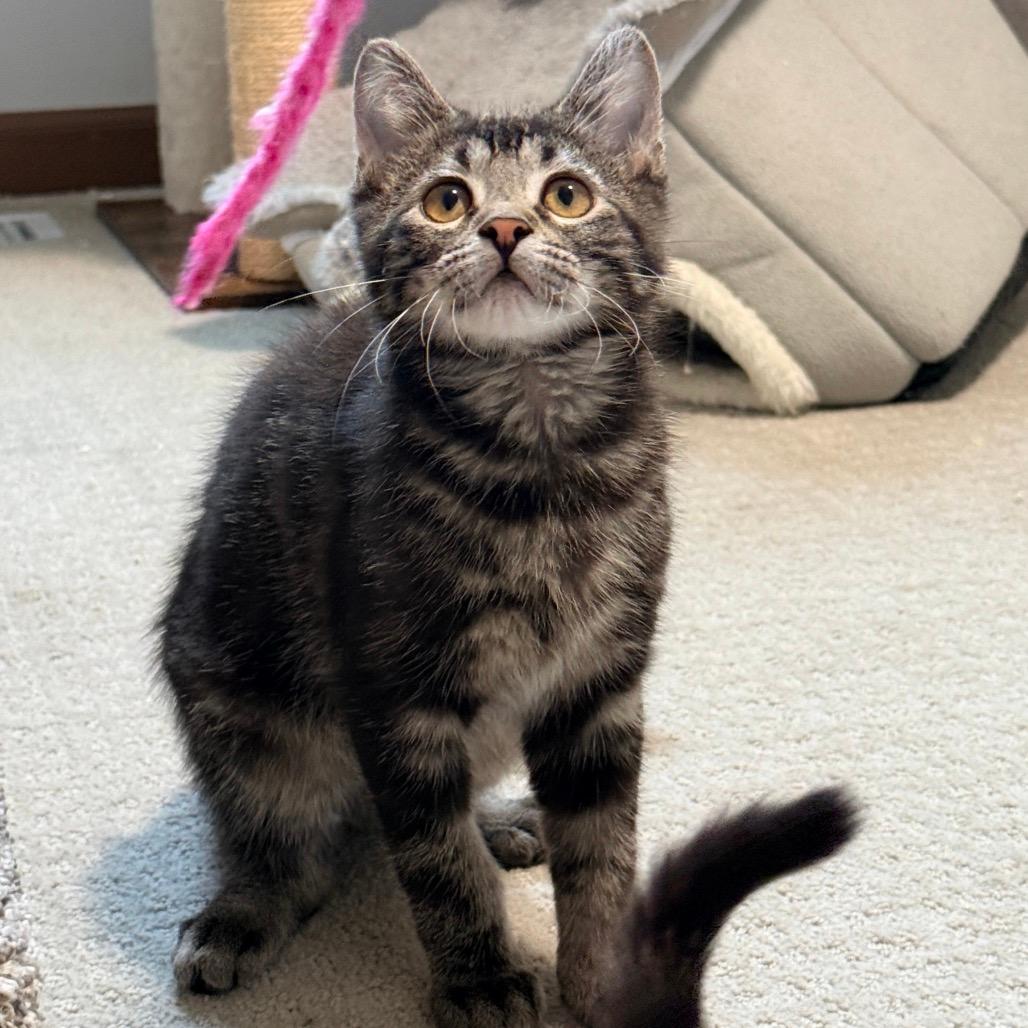 Coco