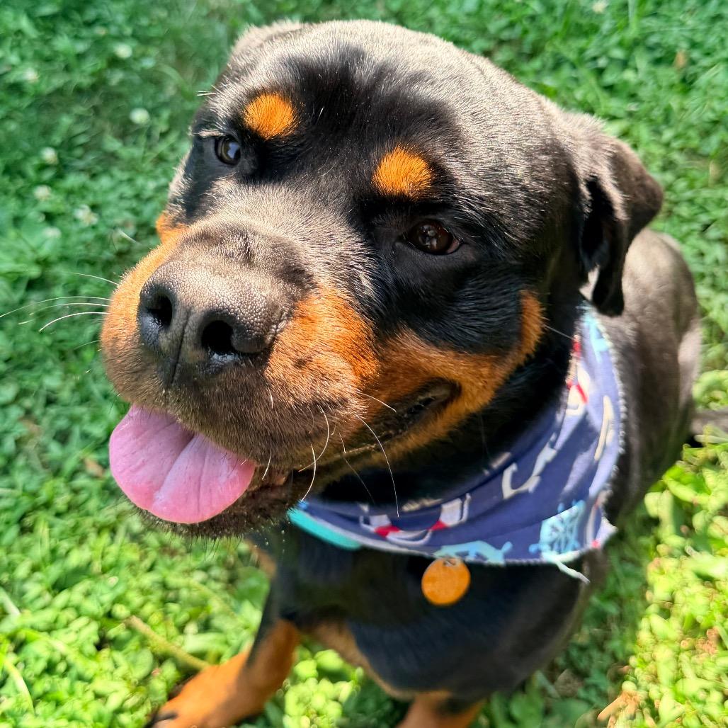 Wilson