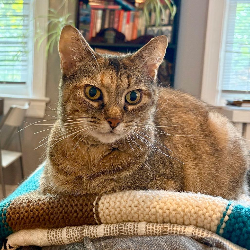 Melba