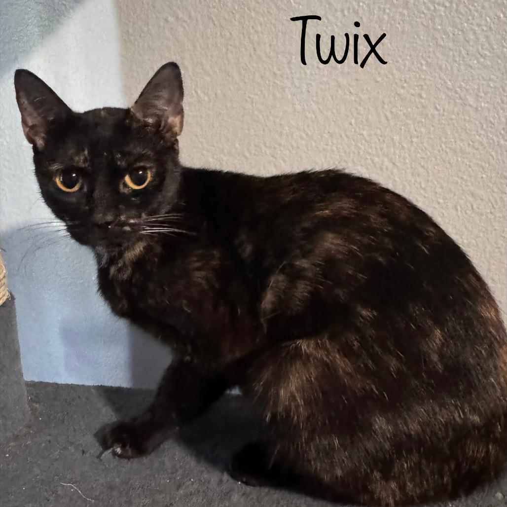 Twix