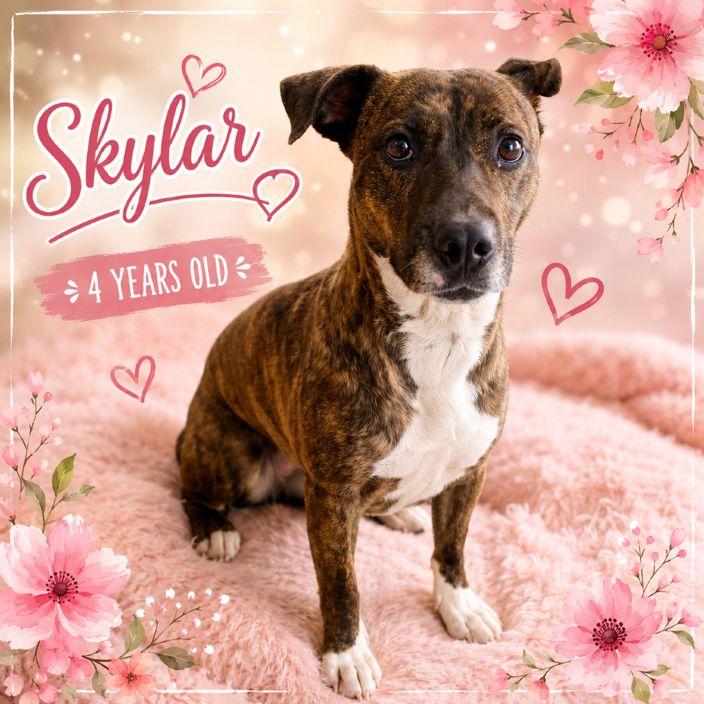 Skylar