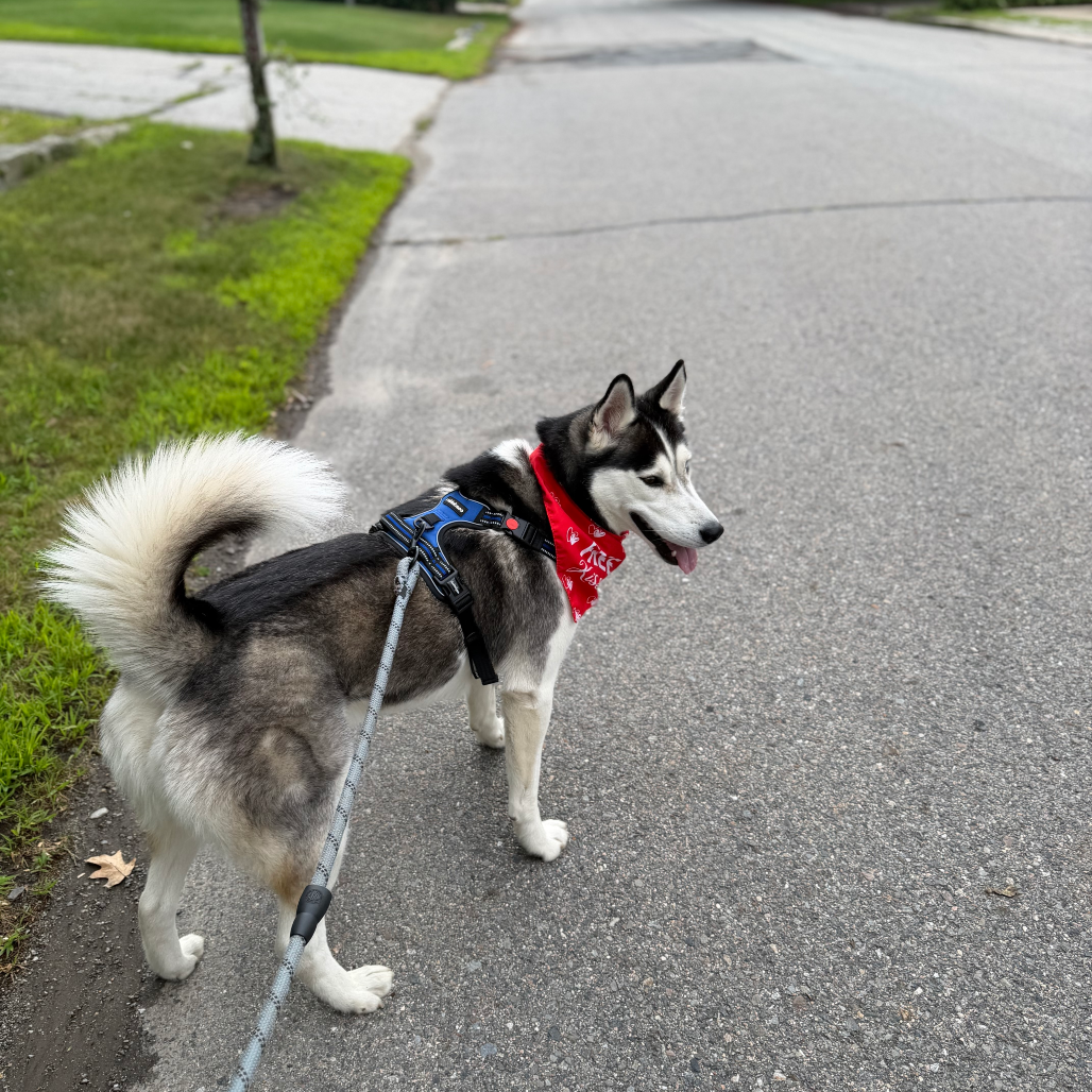 Max