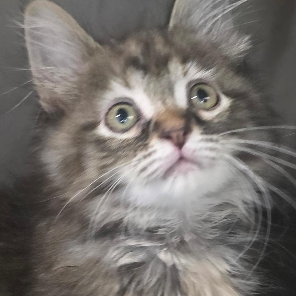 Pebbles*Bonded w/ Bubbles*