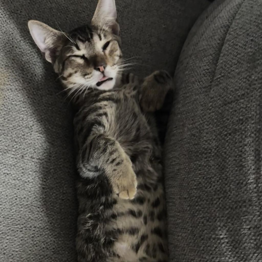 Marvin