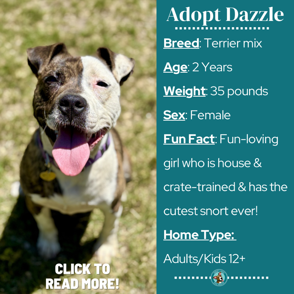 Dazzle