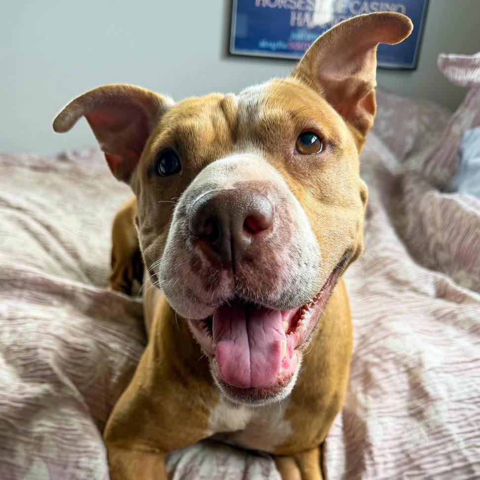 Penny