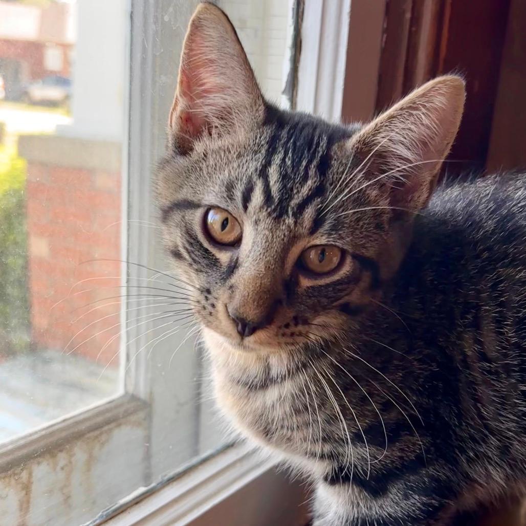 Sebastian