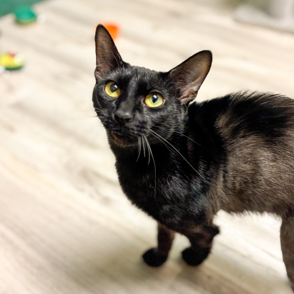 Luna