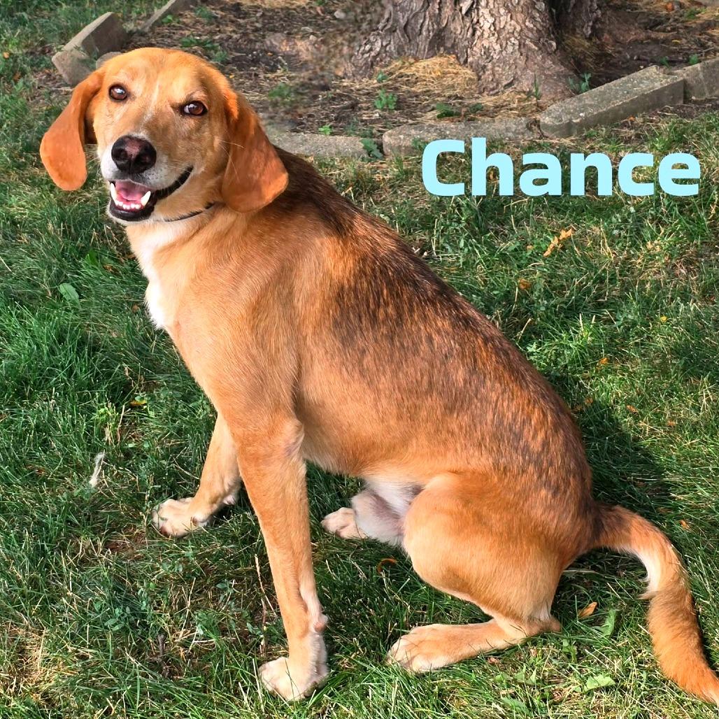 Chance
