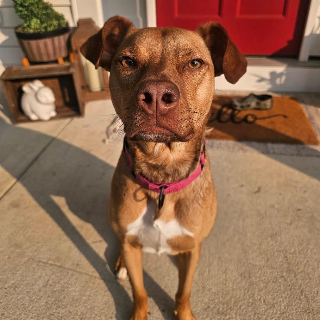 Peanut