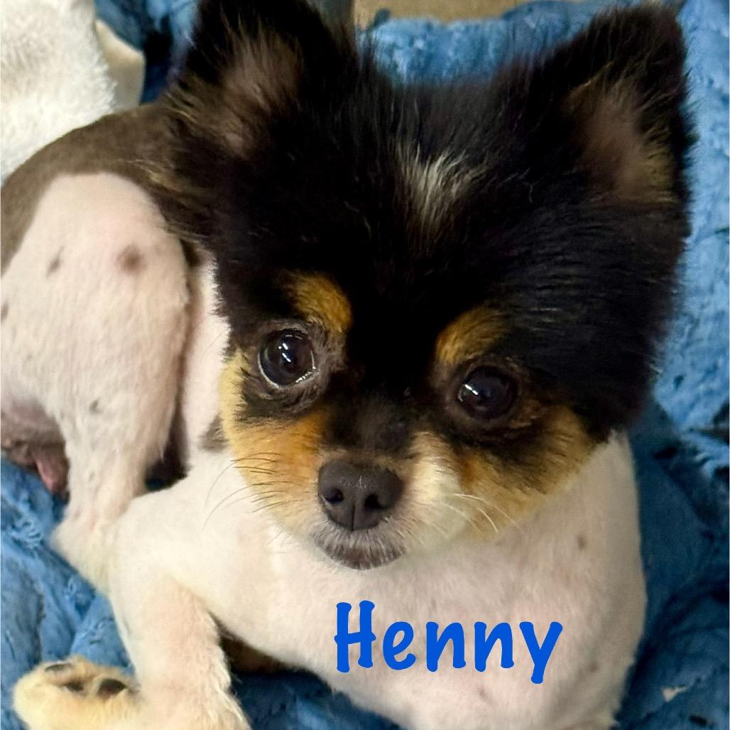 Henny