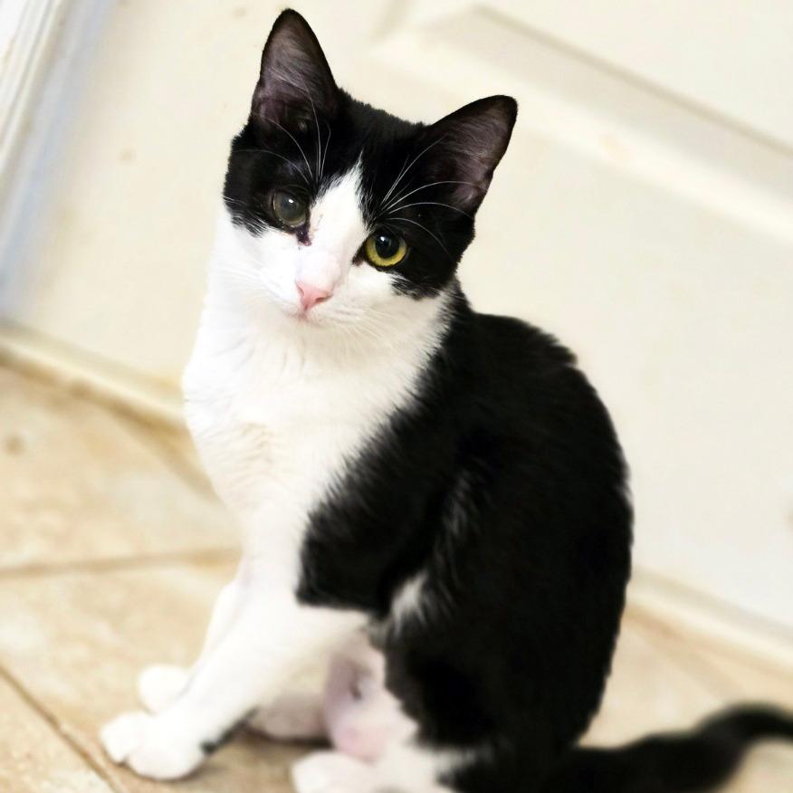 Fiona