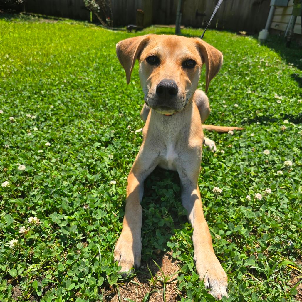Axel 