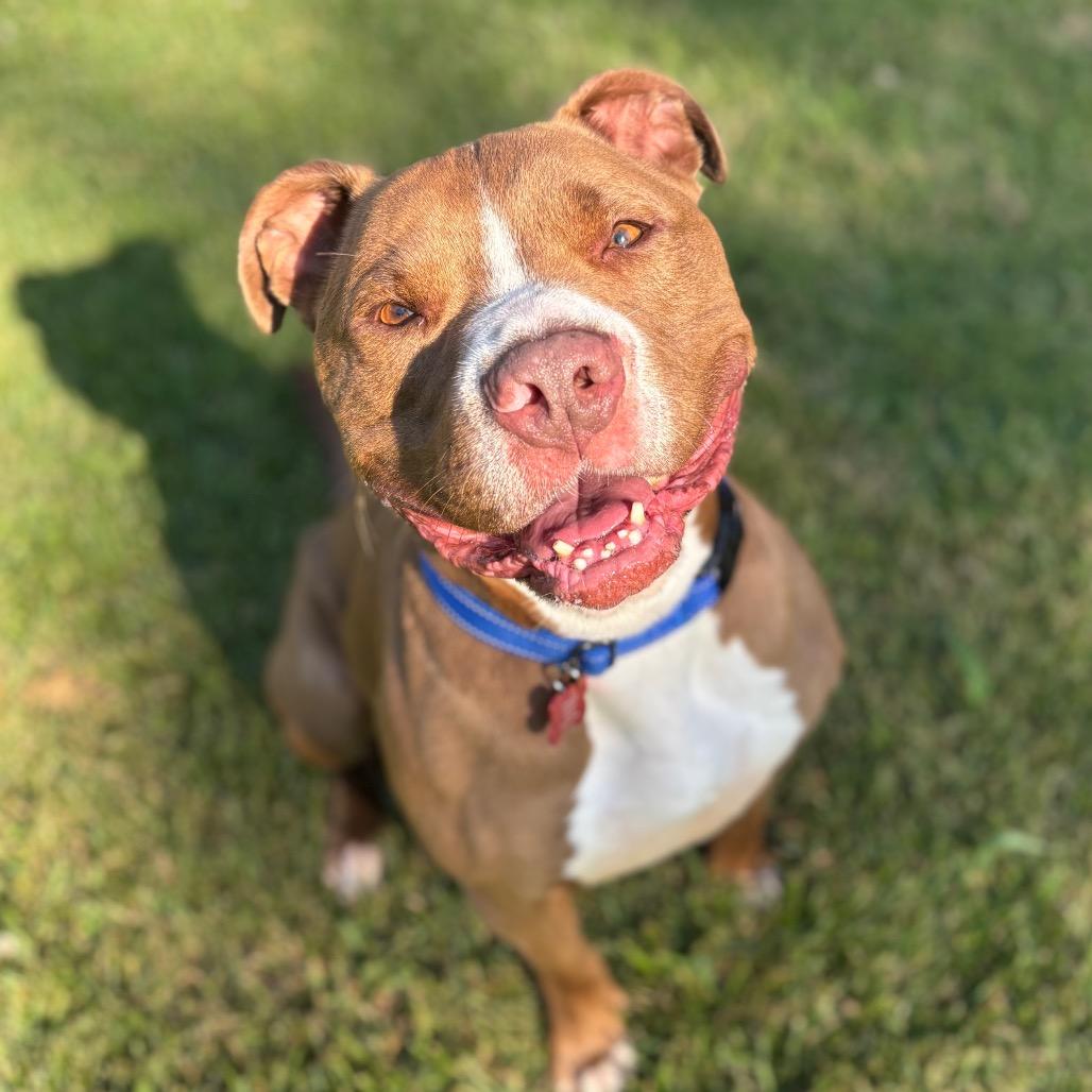 Thor