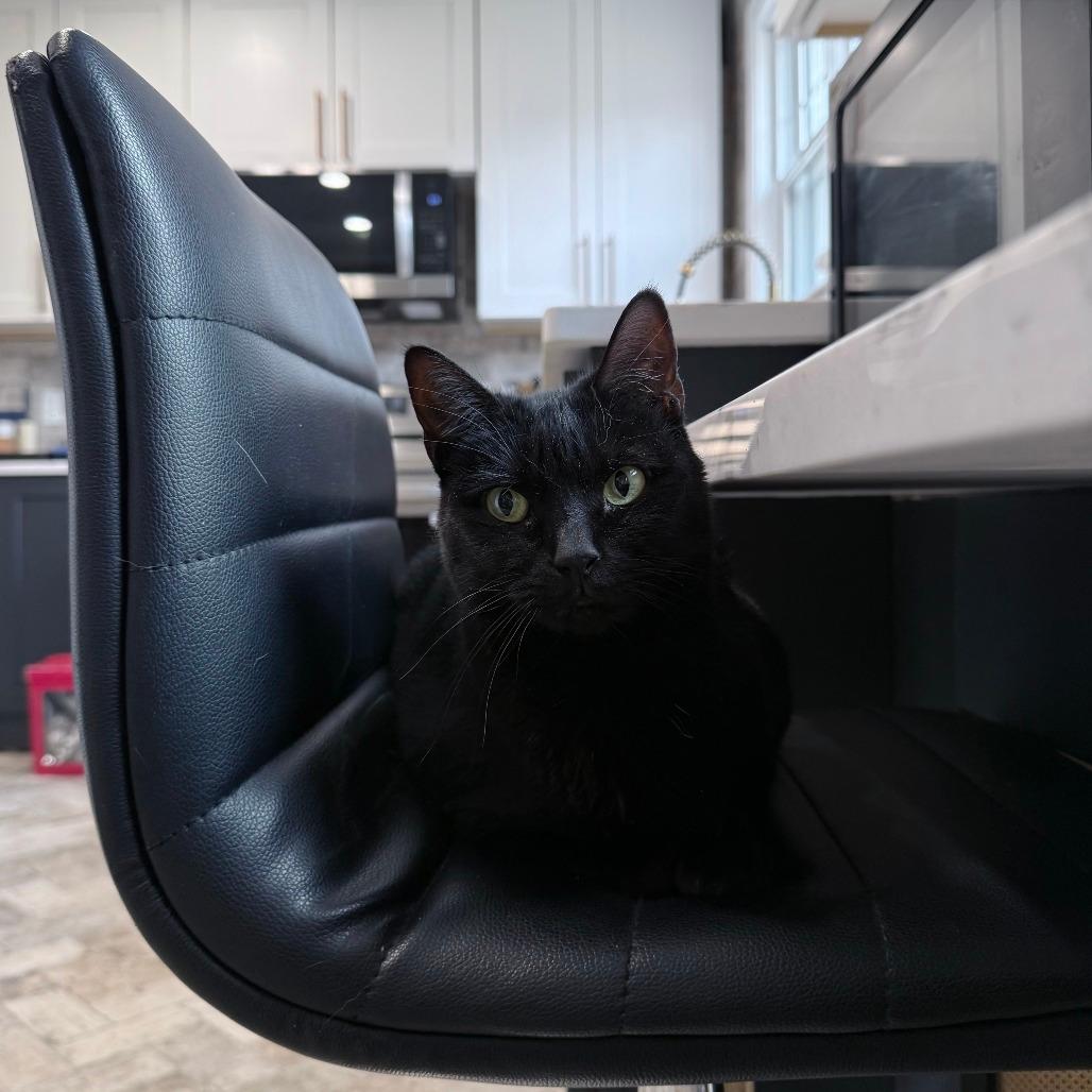 Minko