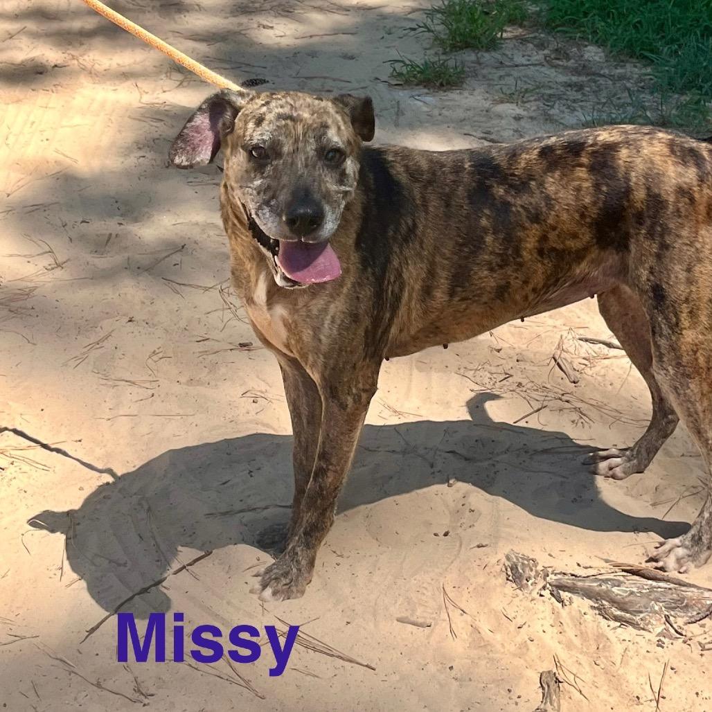 Missy
