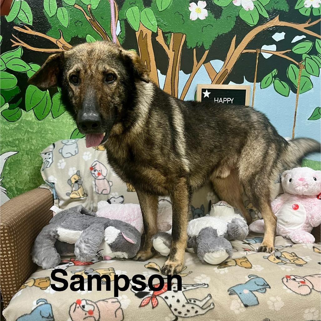Sampson