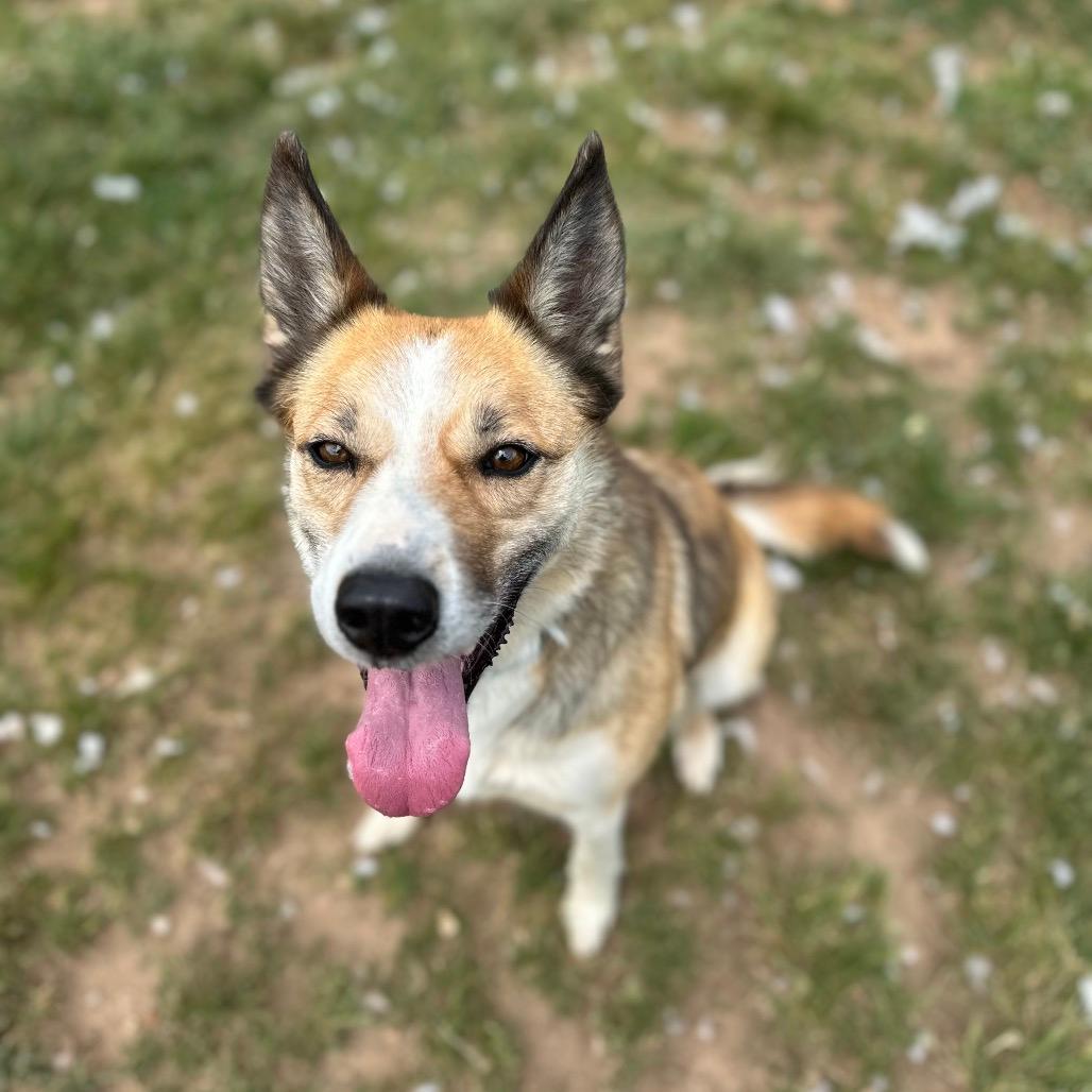 Mel