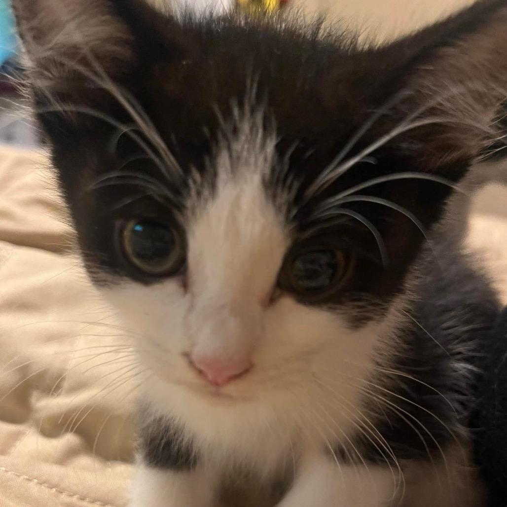 Sam