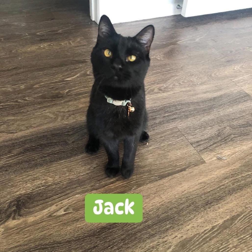Jack