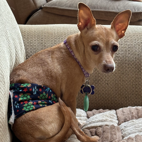 Audrey